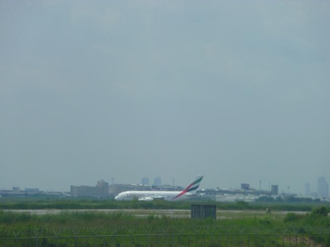 P1000428.JPG